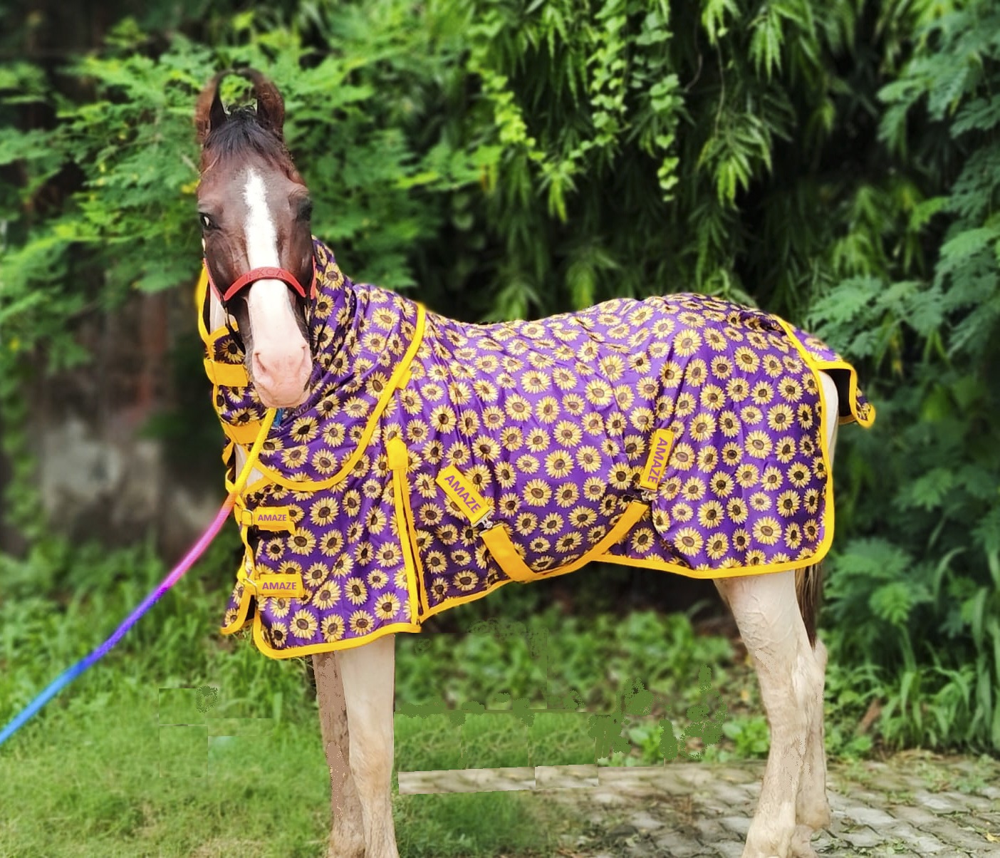 Turnout Sunflower rug